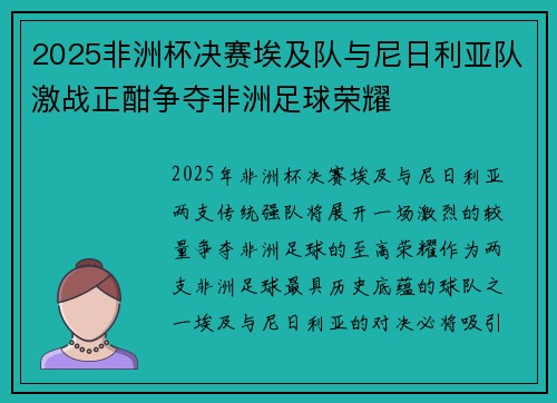 2025非洲杯决赛埃及队与尼日利亚队激战正酣争夺非洲足球荣耀